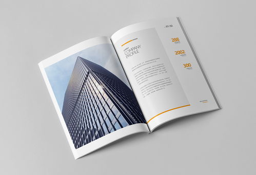 簡(jiǎn)約大氣，專業(yè)信賴 商務(wù)咨詢與投資企業(yè)公司畫冊(cè)